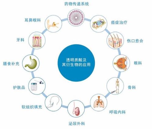 生物科技龍頭華熙生物深度分析 現(xiàn)在是抄底良機(jī)嗎？
